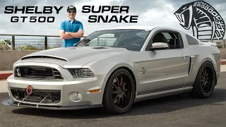 Ford Shelby GT500 Super Snake Review & Drive POV! Is it BETTER than a Dark Horse?