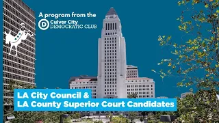 Los Angeles City Council & LA County Superior Court Candidates - May 2024