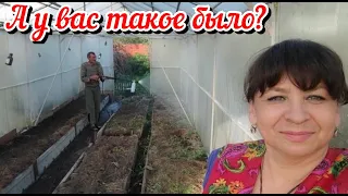 А у вас такое было? Совпадение или нет? Сад и огород на болоте. Жизнь семьи в деревне.