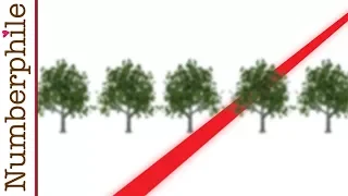 Tree Gaps and Orchard Problems - Numberphile