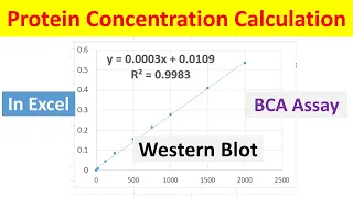 How to Calculate Protein Concentration of Unknown Sample from Standard Curve in Excel