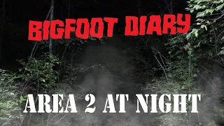 Bigfoot Diary: AREA 2 AT NIGHT  - Something is in the woods!!!!