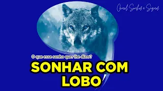 Sonhar Com Lobo | Qual o Significado?