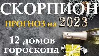 СКОРПИОН ♏Прогноз на 2023 год👍Таро прогноз гороскоп для Вас 12 домов по 3 темы,в раскладе 12 колод!