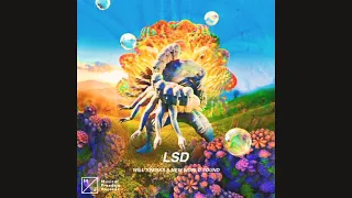 Wills Sparks & New World Sound - LSD