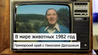 Передача в мире животных 1982 года о Приморском крае с Николаем Дроздовым