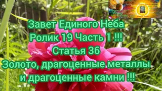 Завет Единого Неба Ролик 19 Часть 1 !!!