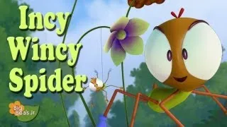 Big Bees Jr. - Incy Wincy Spider