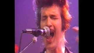 Mink 'Willy' DeVille - Biskuithalle Bonn - 1995 - LIVE Rockpalast