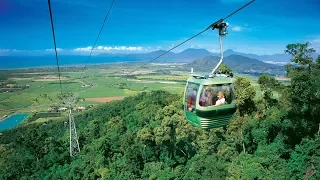 Cairns - Skyrail Rainforest Cableway Day Trip