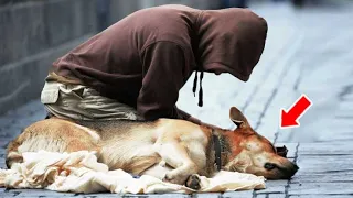 This Homeless Man Couldn’t Say Goodbye To His Dog Until Just One Last Wish...