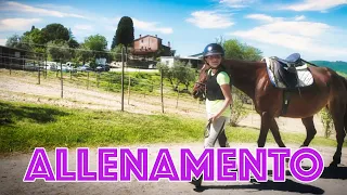 A CAVALLO - Allenamento passo, trotto, galoppo e salto ostacoli, scuola di equitazione in Toscana.