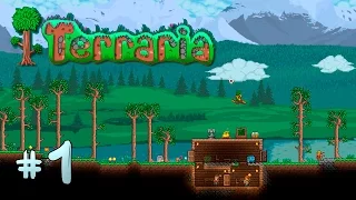 Terraria 1.3.3 (Expert) - #1  ☺ Начало долгого путешествия. Ковер-самолет.