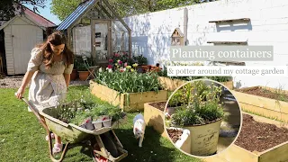 Planting containers & more, my weekly cottage garden vlog