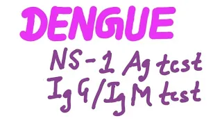 Dengue - Serological investigation - NS 1 Antigen and IgM / IgG Test for Dengue