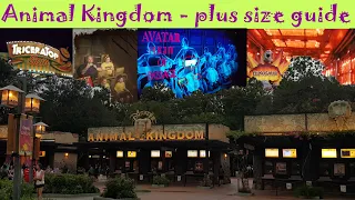 Animal Kingdom Plus Size Review - complete guide to all rides at the park from a fat guy's POV