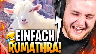 😂🐐RUMATHRA als ZIEGE!! - REAKTION auf Unusual MEMES | Trymacs Stream Highlights