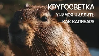 КРУГОСВЕТКА // ДЕНЬ 141 / ПАРКИ БУЭНОС-АЙРЕСА: САД РОЗ, СЛОНЫ, ЛЕОПАРД И КАПИБАРА