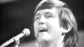 Wayne Fontana - Come On Home (Live, 1966)