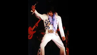 Elvis Presley- Down In The Alley (1974 Live Version) Instrumental