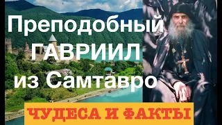 «ЭТО БЫЛА ПРЕСВЯТАЯ БОГОРОДИЦА!» Старец ГАВРИИЛ (Ургебадзе). Чудеса и Факты. 4-100