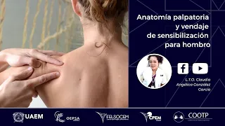 Taller de anatomía palpatoria