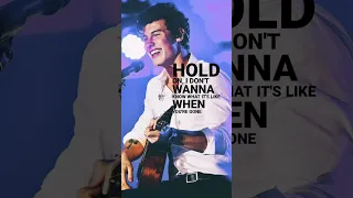 🎵 🎶.. WHEN YOU'RE GONE SHAWN MENDES SONG LYRICS EDIT ||♡♡|| #shorts #english #youtubeshorts #song ❤