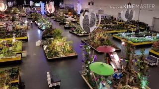 Dresden orchid show 2018. Выставка орхидей Дрезден  2018