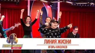 Игорь Николаев — «Линия жизни». «Золотой Микрофон 2019»