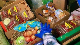 Dumpster Diving Aldi #294 FREE GROCERY SHOPPING!