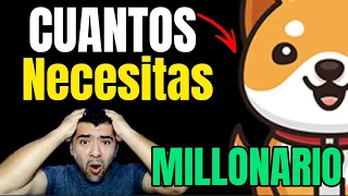 CUANTAS #babydoge Token Necesitas para CONVERTIRTE EN Millionaire Corto Tiempo 2023 Mira el Video