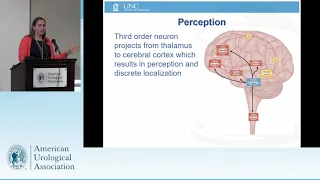 AUA Quality Summit 2018 Session 2: Understanding Postoperative Pain