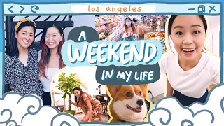 Life as a Product Manager | dogsitting a corgi, h-mart groceries, hosting mayuko and scott!