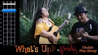 "What's Up?" (4 Non Blondes) Ukulele Play Along!