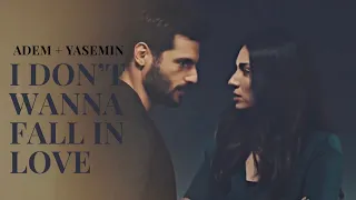 Adem + Yasemin | Wicked Game