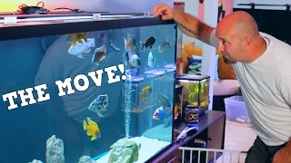 Moving 3 LARGE AQUARIUMS, Having A PLAN To Move Fish Tanks Is Critical!