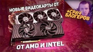 Новые видеокарты от Intel и AMD + Мэдди Мурк защищает перекупов RTX 3050 и унижает обычных геймеров