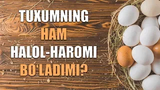 Tuxumning ham halol-haromi bo‘ladimi? (Shayx Sodiq Samarqandiy)
