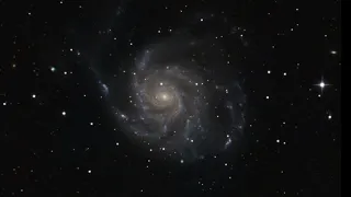 astrophotographie la galaxie M 101