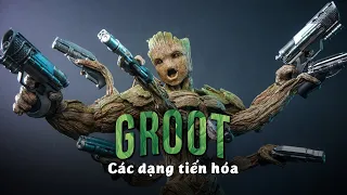 TẤT TẦN TẬT 10+ dạng tiến hóa của GROOT | Guardians of the Galaxy 3