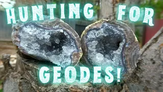 Hunting for Geodes near Dugway Utah!