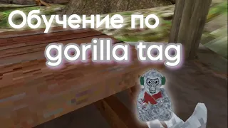Обучение по gorilla tag