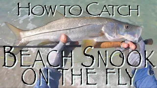 Fly Fishing Snook on Beach | How to Catch & Sight Fish Surf 101 | Success Tips & Techniques