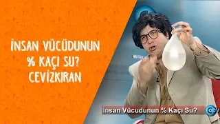 İnsan Vücüdunun % Kaçı Su - Cevizkıran - Dikkat Şahan Çıkabilir