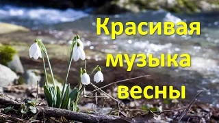 Март. Красивая музыка весны. Beautiful music of spring