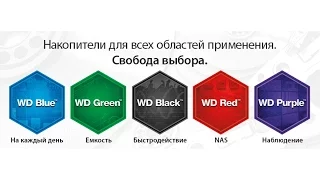 Зачем нужен WD Purple и другие цветные винчестеры от Western Digital?