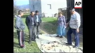 BOSNIA: KALESIJA: COW GIVES BIRTH TO DEFORMED CALF