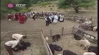 Dança com Historia - Grupo de Folclore do Rochão