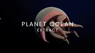 PLANET OCEAN [EN] Extract - Abysses