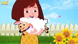 María Tenía un Corderito Canción Infantil | Canciones Infantiles en Español | Música Para Niños